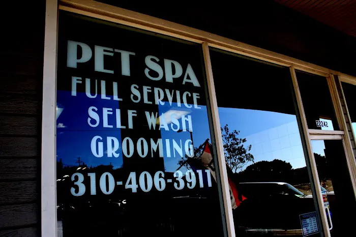 Bubbles Pet Spa Picture 2