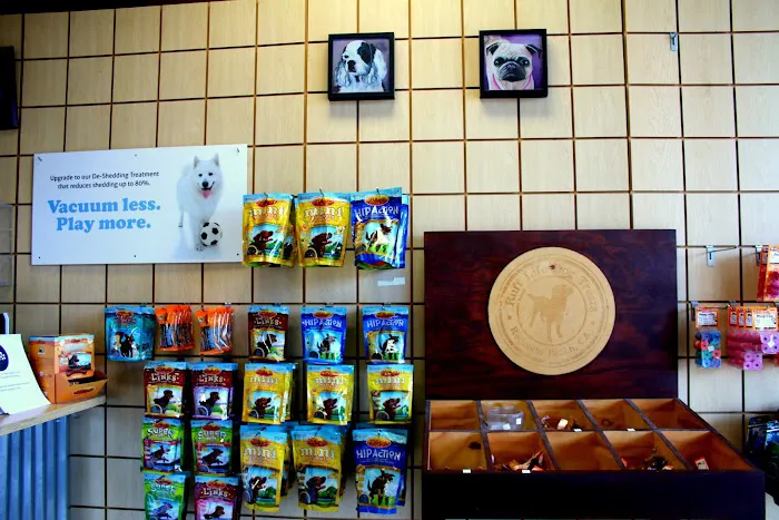 Bubbles Pet Spa Picture 6