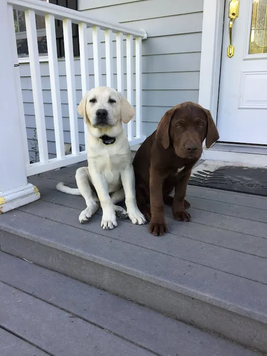 Kinderhook Animal Hospital Picture 5