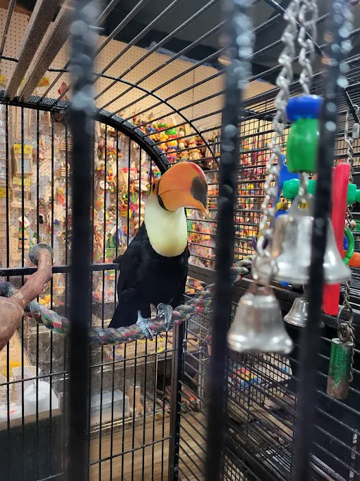 Agustin's Exotic Birds and Reptiles Picture 5