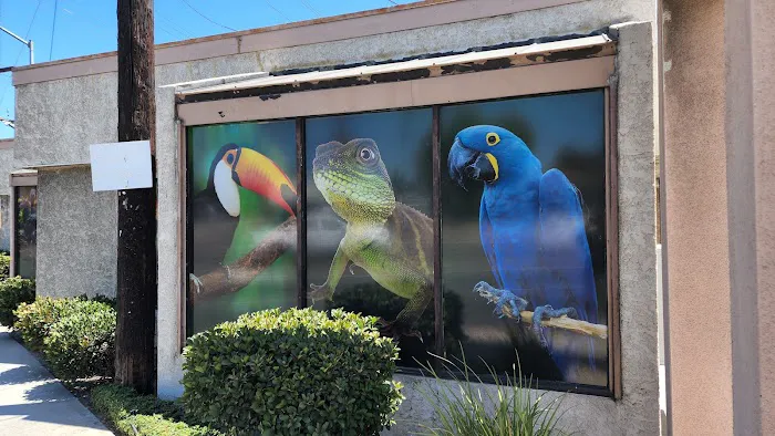 Agustin's Exotic Birds and Reptiles Picture 1