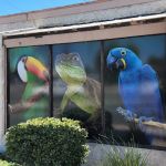 Agustin's Exotic Birds and Reptiles