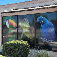 Agustin's Exotic Birds and Reptiles ico