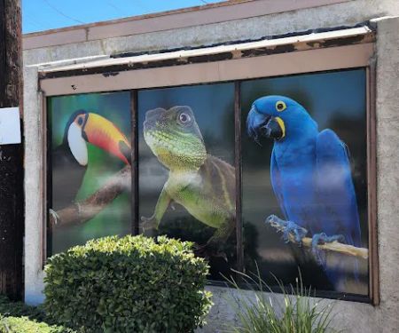Agustin's Exotic Birds and Reptiles