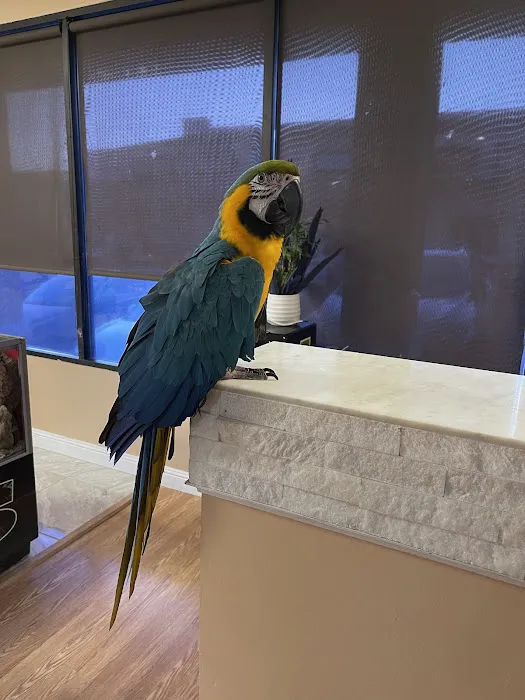 Agustin's Exotic Birds and Reptiles Picture 3