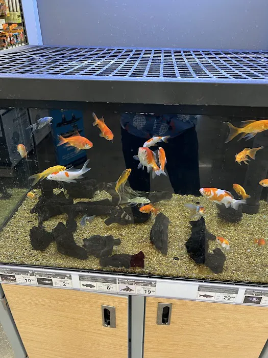 Petco Picture 1