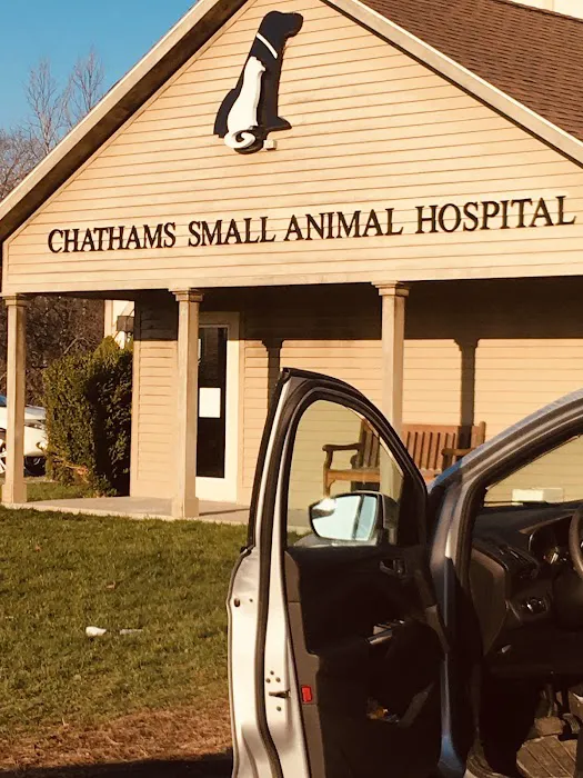 Chathams Small Animal Hospital Picture 6