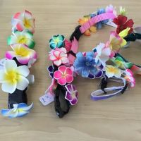 Seashore Fur Babies ico