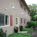 Wood Hill Veterinary Clinic