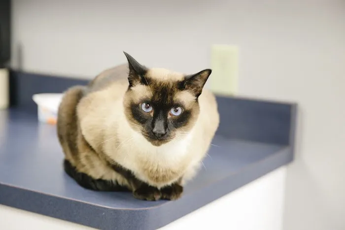 Wood Hill Veterinary Clinic Picture 4