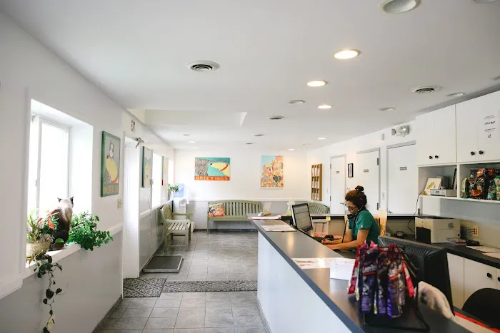 Wood Hill Veterinary Clinic Picture 6