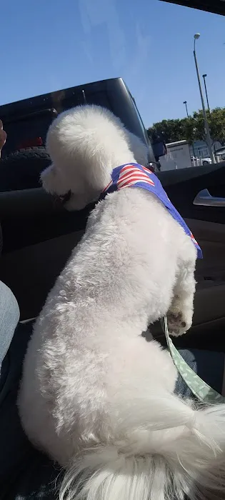 Fresh pets and grooming Picture 1