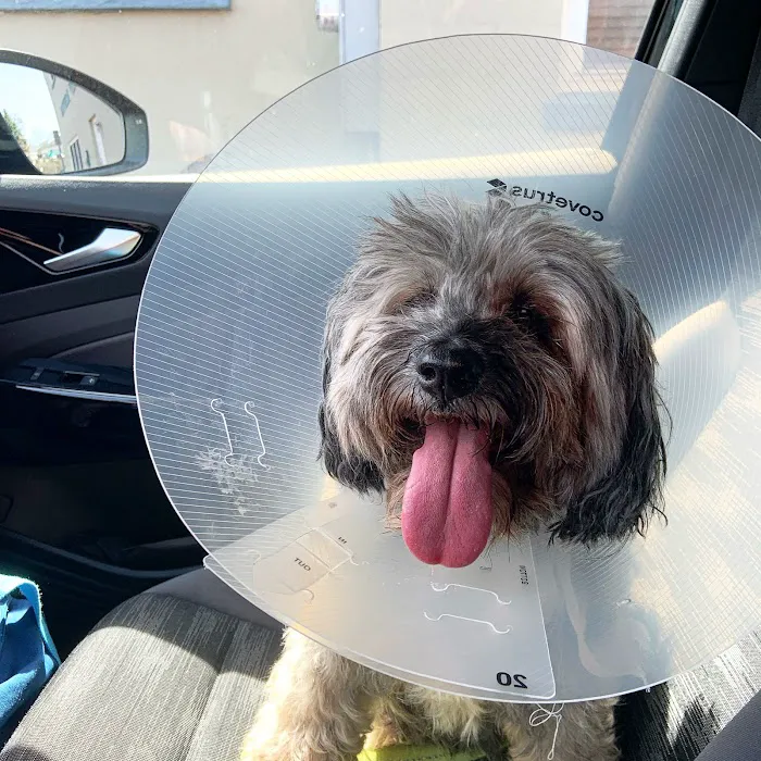 New Canaan Veterinary Hospital Picture 7
