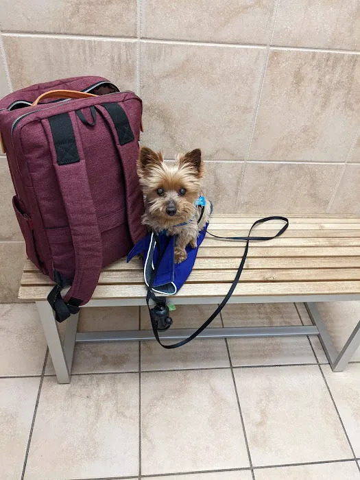 New Canaan Veterinary Hospital Picture 3