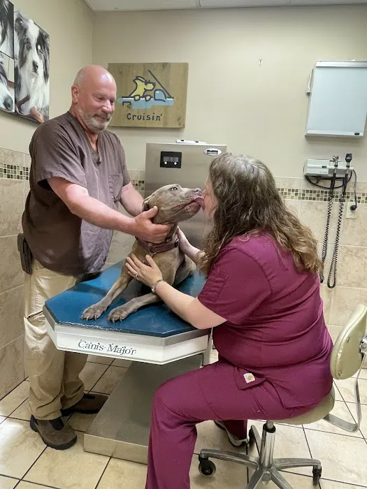 New Canaan Veterinary Hospital Picture 9