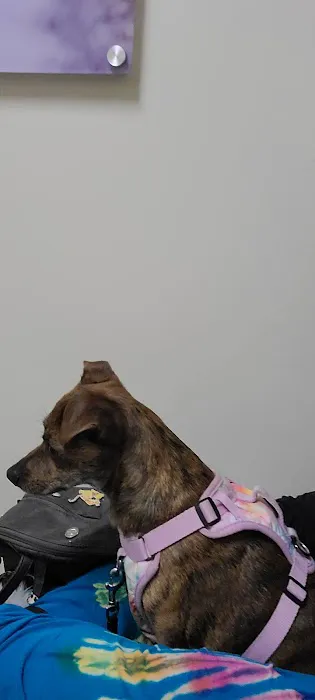 Petco Picture 5