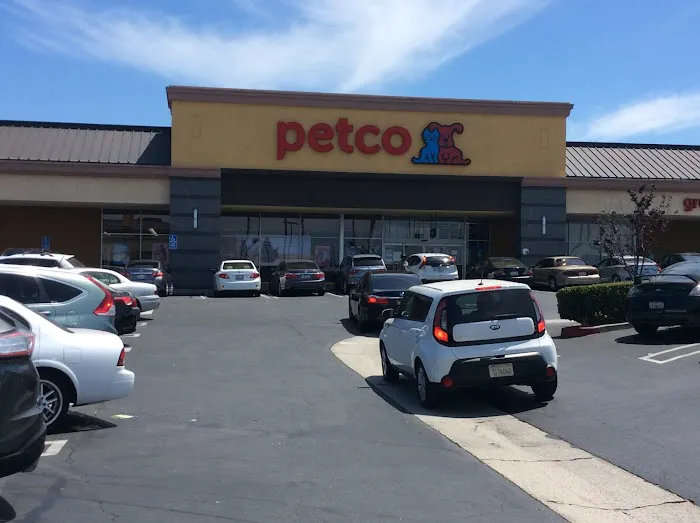 Petco Picture 8