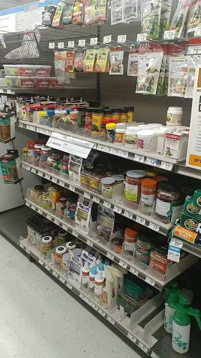 Petco Picture 7