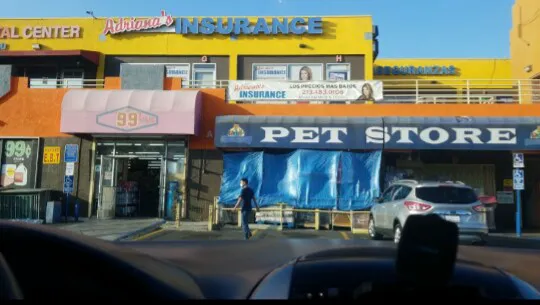 Pet Source 1901 Picture 3