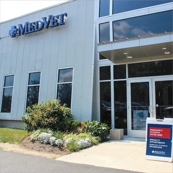 MedVet Norwalk Picture 10