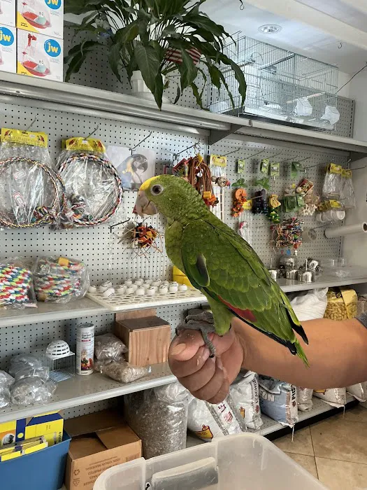 Galeana's Aviary Picture 2