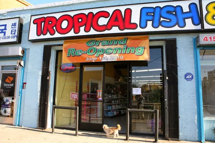 Fumi's Tropical Fish & Pets Picture 10
