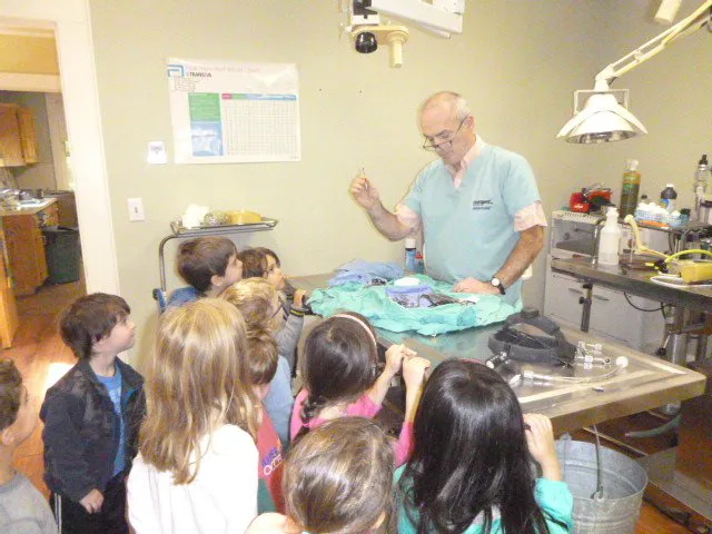 Animal Doctor of Weston Picture 7