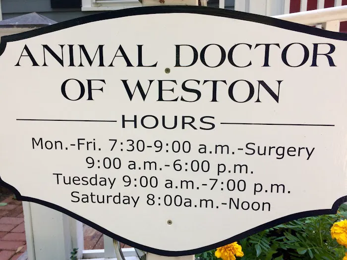 Animal Doctor of Weston Picture 9