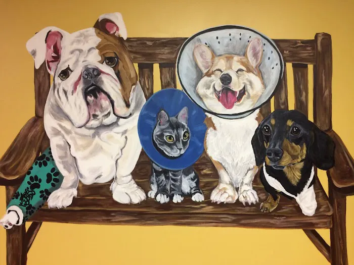 Animal Doctor of Weston Picture 6