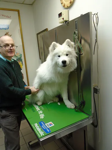 Animal Doctor of Weston Picture 5