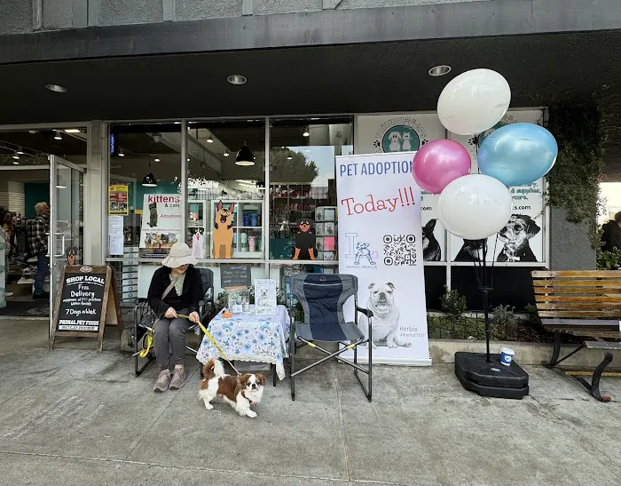 Tailwaggers & Tailwashers Larchmont Village Picture 5