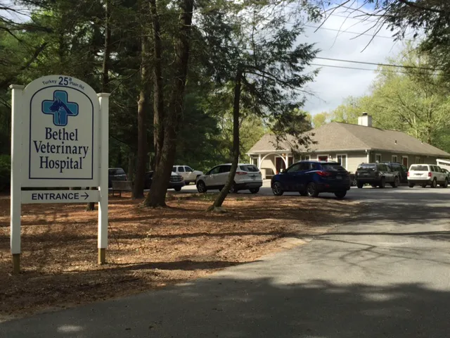 Bethel Veterinary Hospital Picture 7