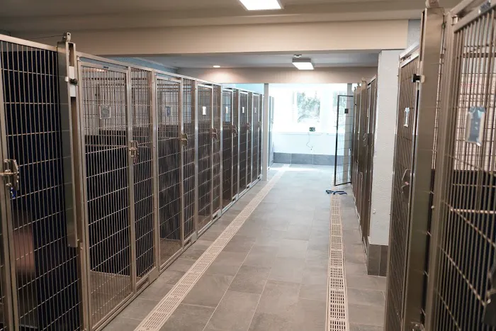 Bethel Veterinary Hospital Picture 5