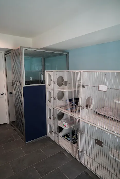 Bethel Veterinary Hospital Picture 4