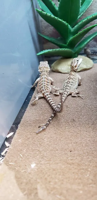 Petco Picture 1