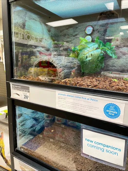 Petco Picture 9