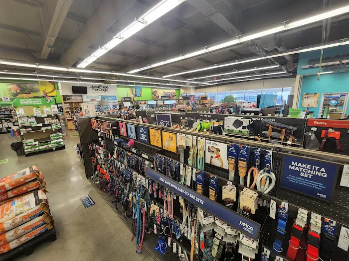 Petco Picture 7
