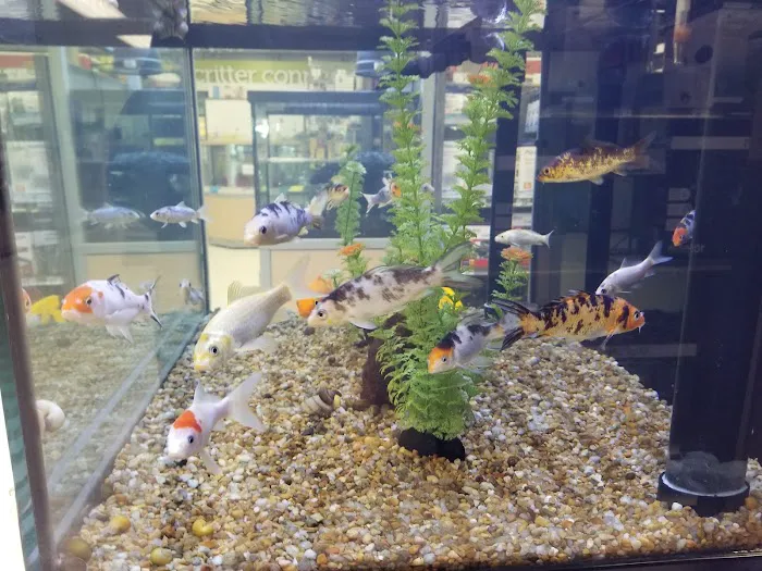 Petco Picture 3
