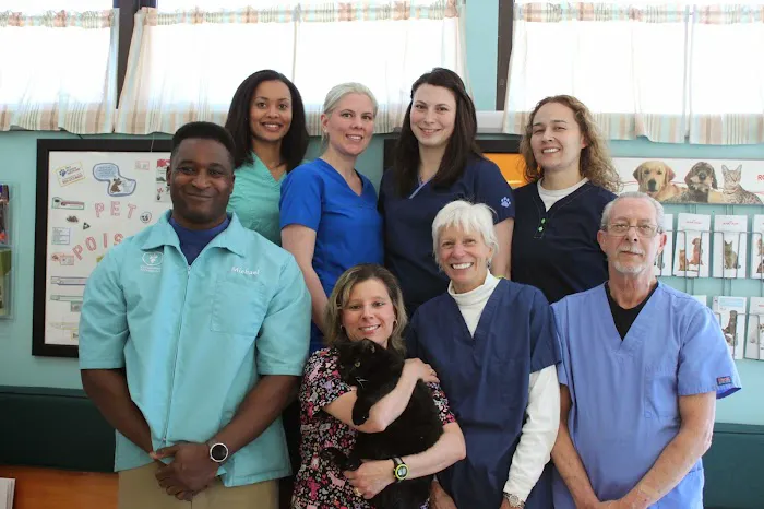 High Ridge Animal Hospital Picture 1