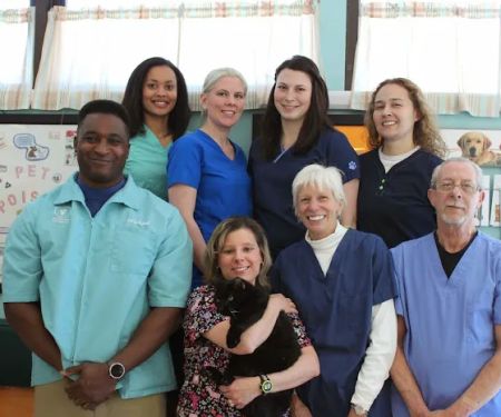 High Ridge Animal Hospital
