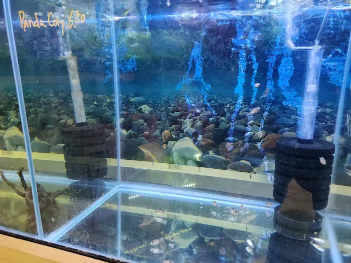 Nature Aquarium Picture 6