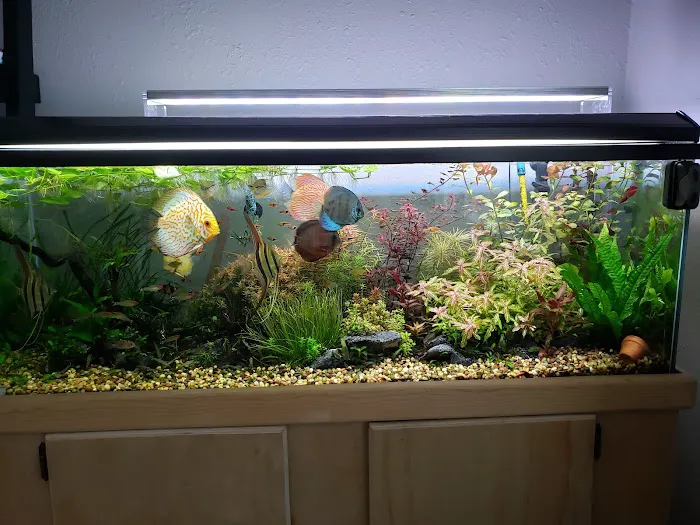 Nature Aquarium Picture 5