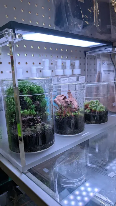 Nature Aquarium Picture 8
