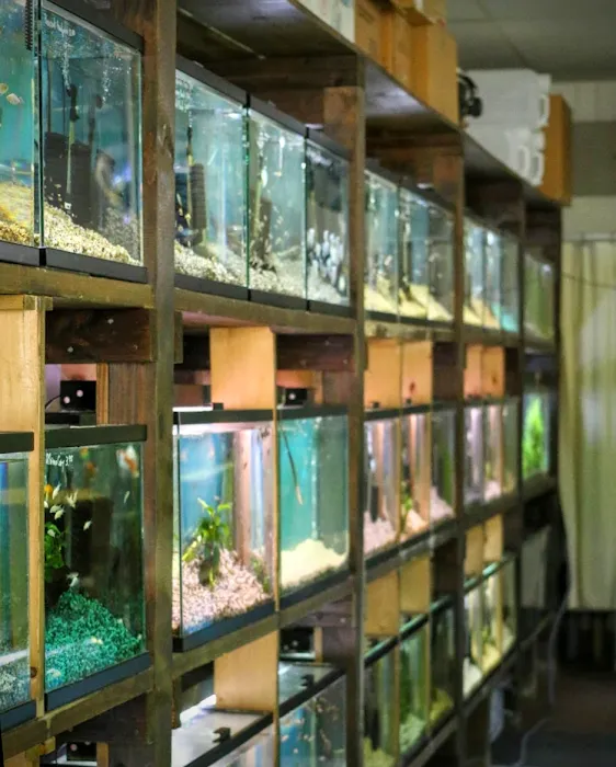 Nature Aquarium Picture 10