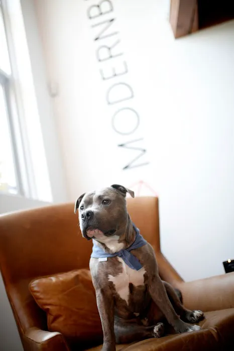 Modernbeast Picture 4