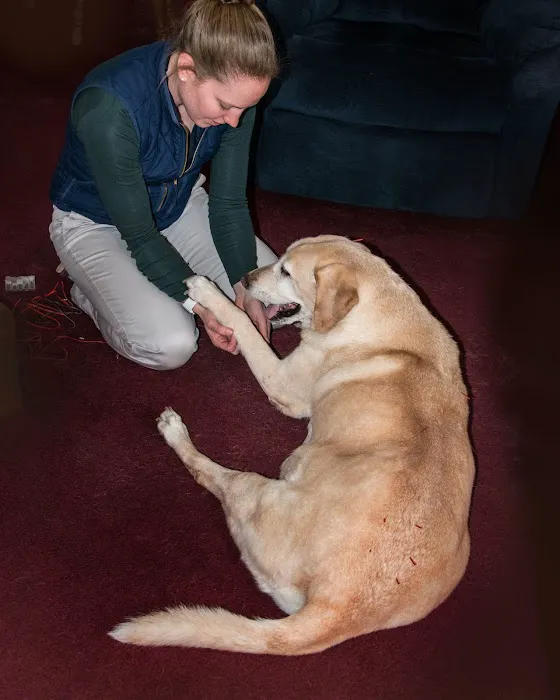 Tailored Veterinary Care Picture 7