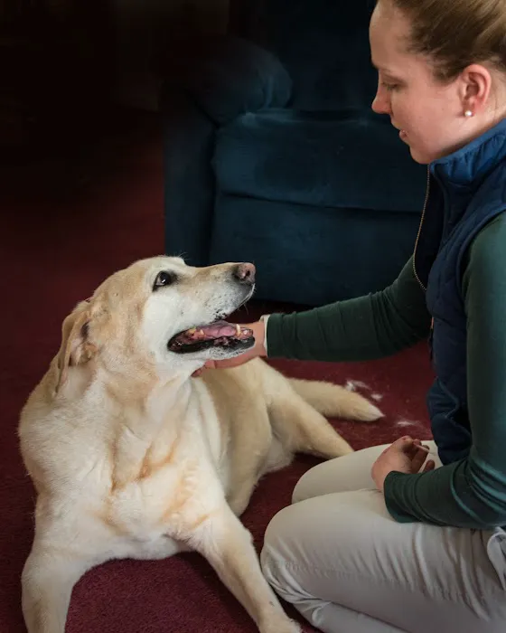 Tailored Veterinary Care Picture 5