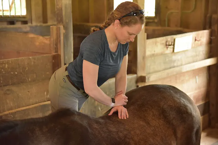 Tailored Veterinary Care Picture 6