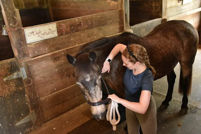 Tailored Veterinary Care Picture 1