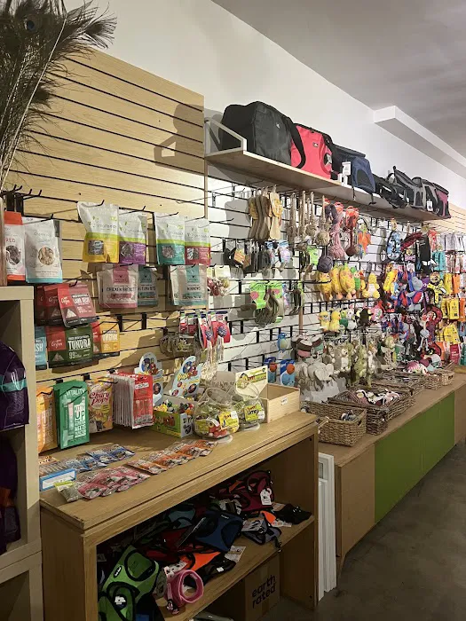 Bruno's Dog & Cat Boutique Picture 2
